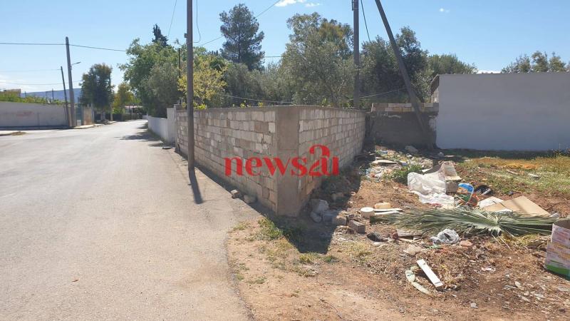 Ασπρόπυργος νεογέννητο
