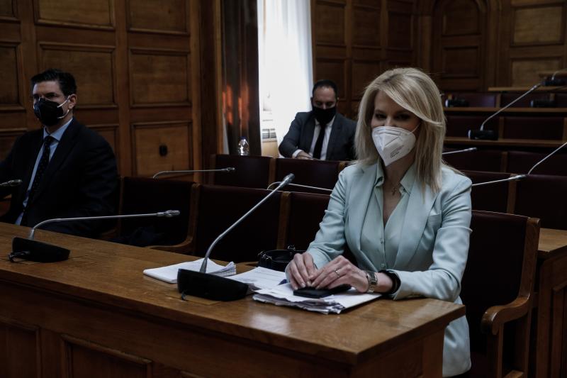 Μέλη της προανακριτικής