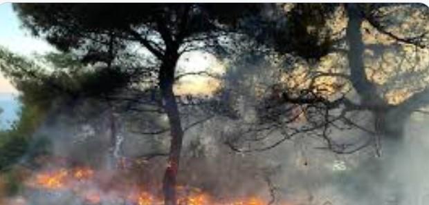Φωτιά κόρινθος