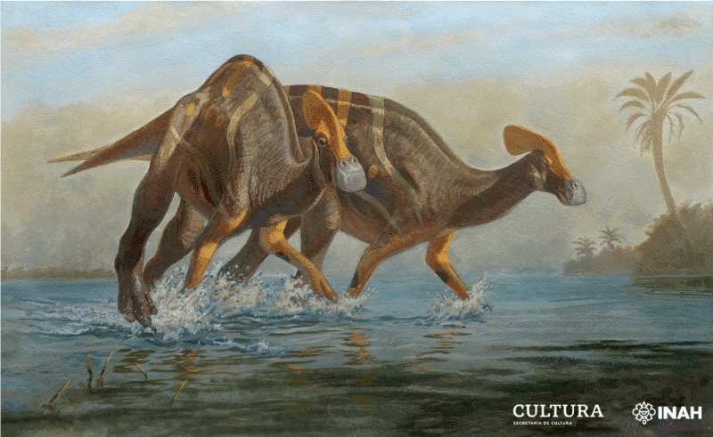 Tlatolophus galorum δεινόσαυρος