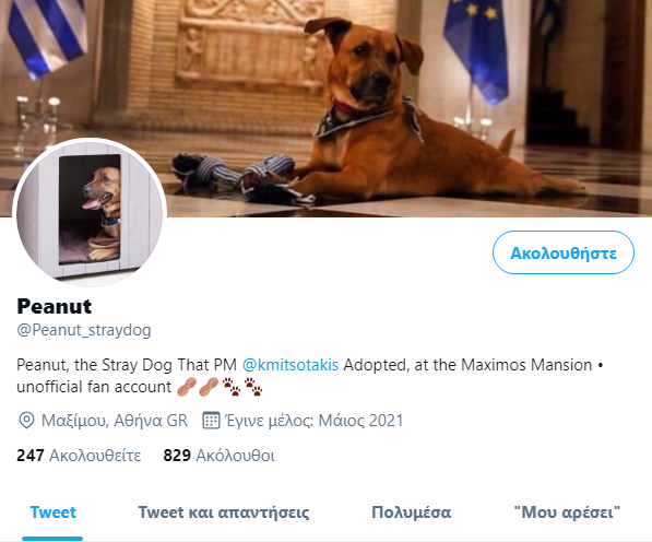 λογαρισμός twitter peanut 