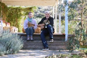 Ντοκιμαντέρ Γάτες