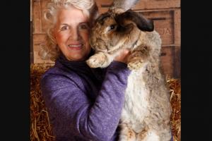 τεράστιο κουνέλι και ιδιοκτήτρια