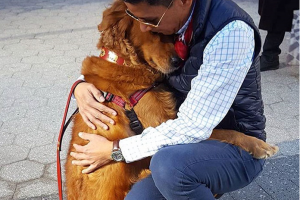 σκυλάκι αγκαλιάζει περαστικούς 