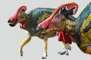 δεινόσαυροι Tlatolophus galorum