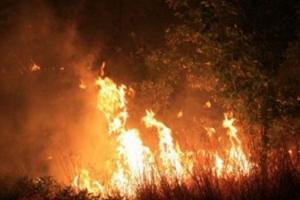 μεγάλη φωτιά στο Ηράκλειο Κρήτης