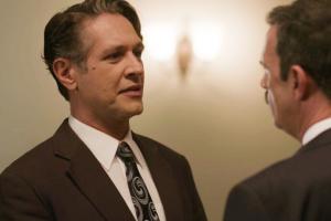 Άγριες Μέλισσες Ακύλας