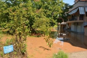 αρωγή πλημμύρες 