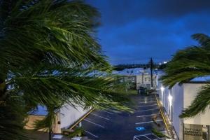 τυφωνας μιλτον