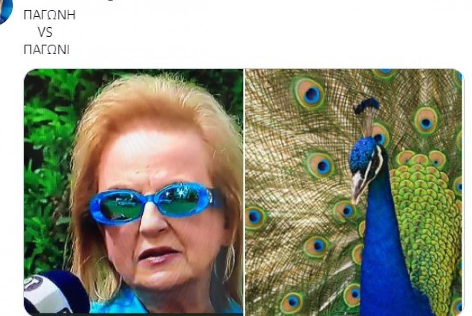 Ματίνα Παγώνη γυαλιά