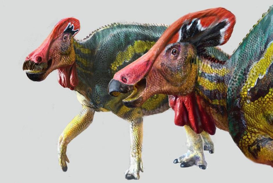 δεινόσαυροι Tlatolophus galorum