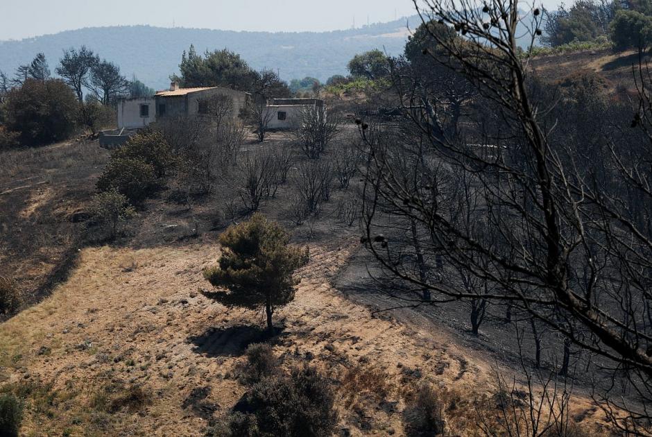 Έκταση που κάηκε από τη φωτιά στον Σχίνο