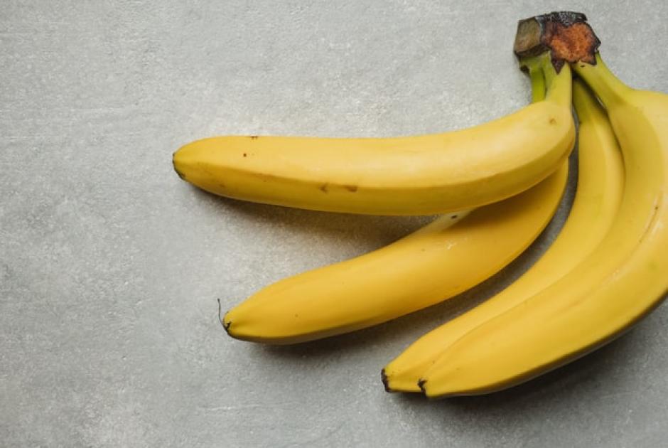 λεύκη διατροφή μπανάνες