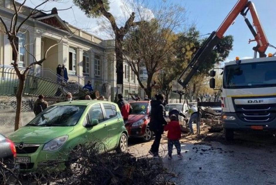 Θεσσαλονίκη: Πτώση δέντρου σε σχολείο
