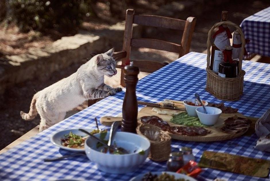 ΙΕΛΚΑ σπατάλη τροφίμων 