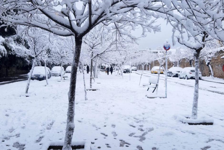 Ελπίς χιονοπτώσεις 