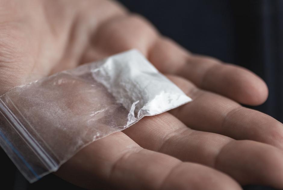 cocaine 
