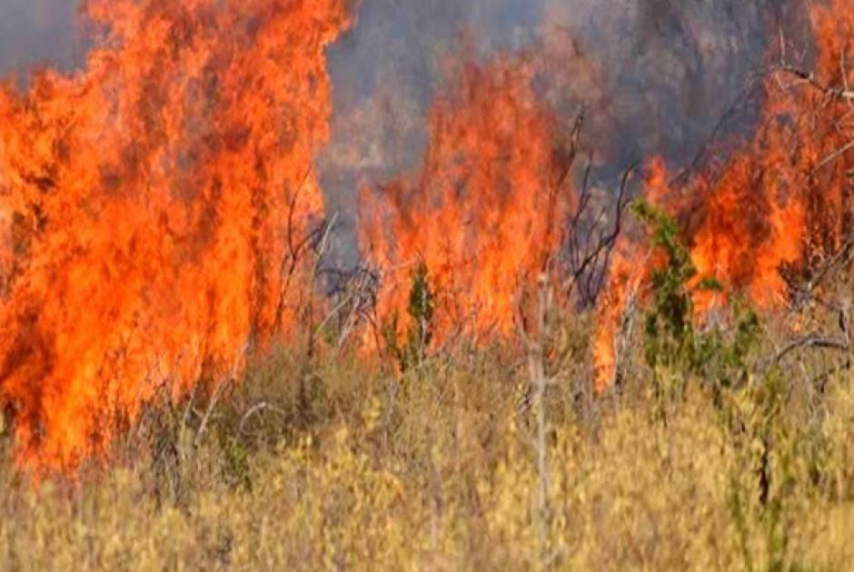 Πυρκαγιά Φέριζα Σαρωνικού