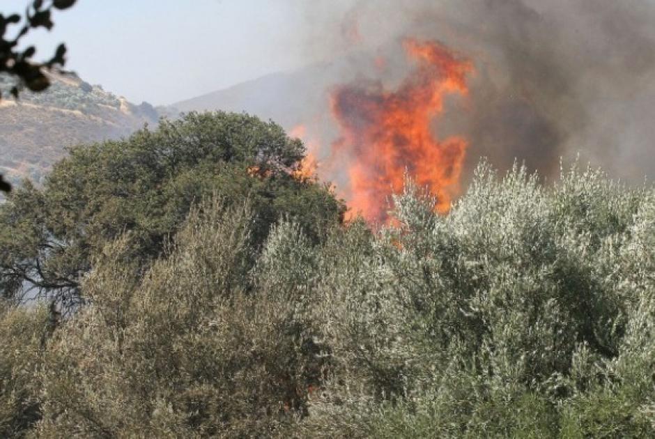 Ρέθυμνο φωτιά 