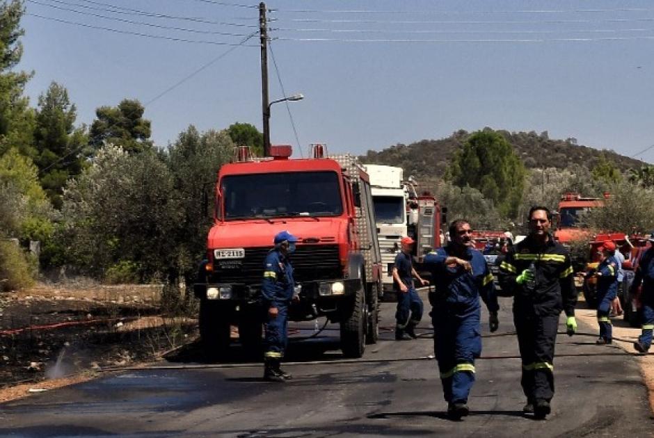 Ηλεία Φωτιά 