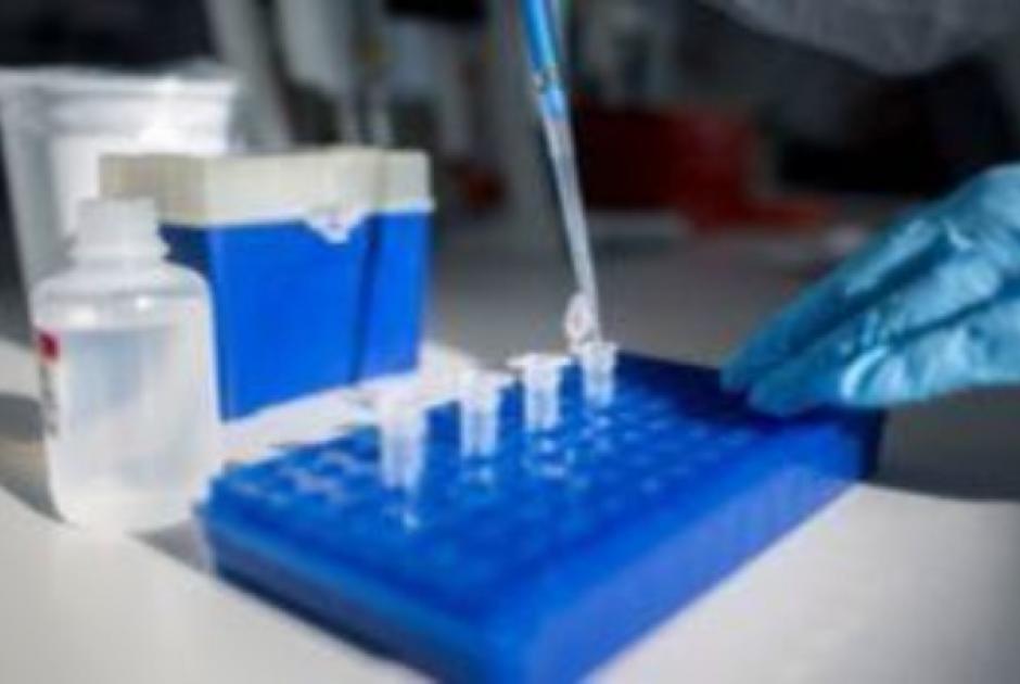 Θεραπεία HIV