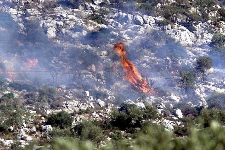 Εθνικός δρυμός της Βάλια Κάλντα