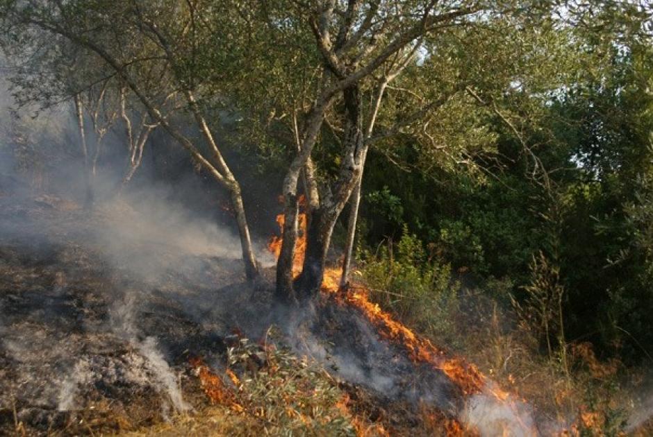 Πυρκαγιά Ταύρος