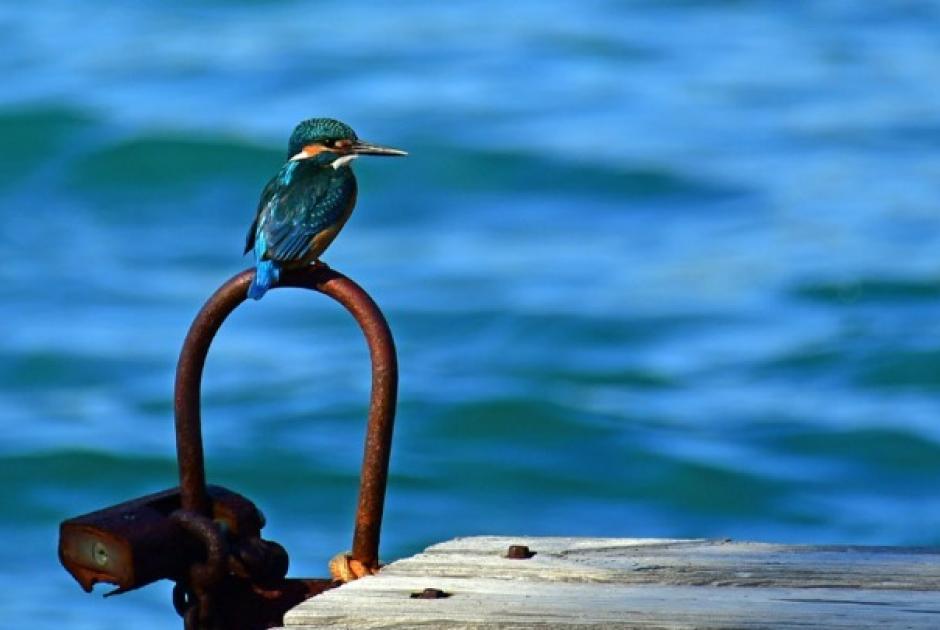 Πρόγνωση καιρού 