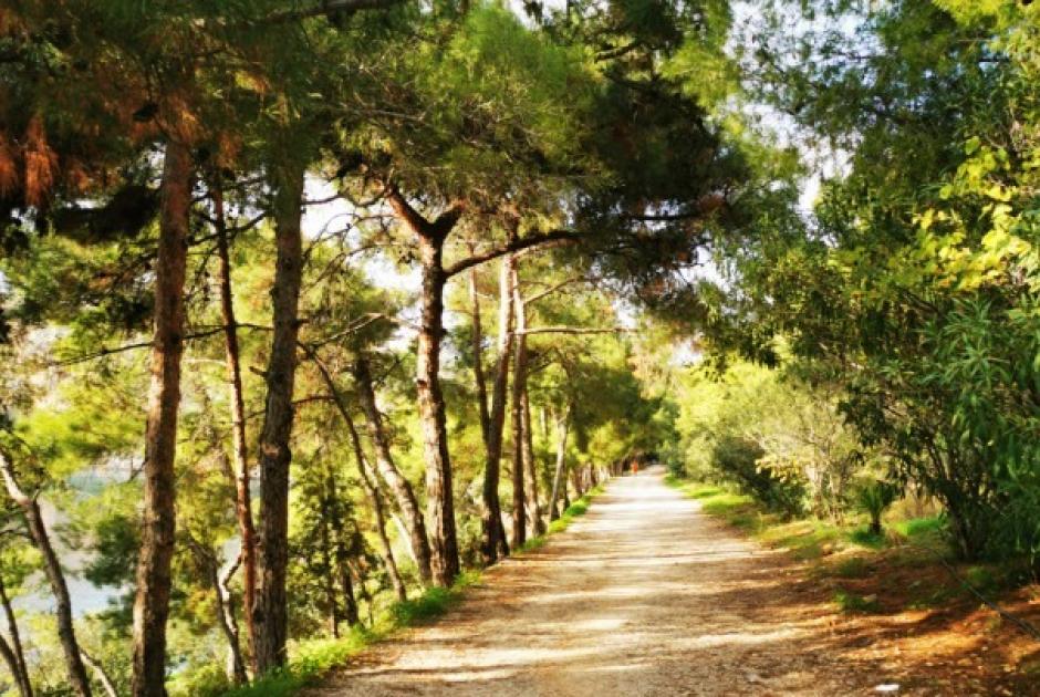 Πρόγνωση του καιρού 