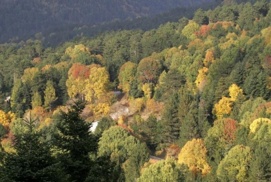 Πρόγνωση καιρού 