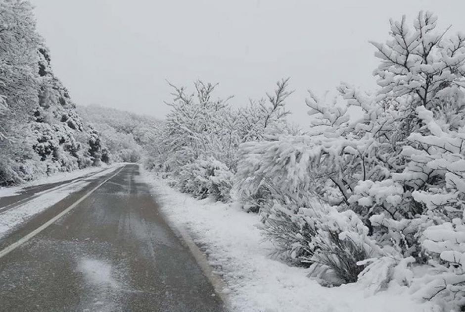 Χιόνια 