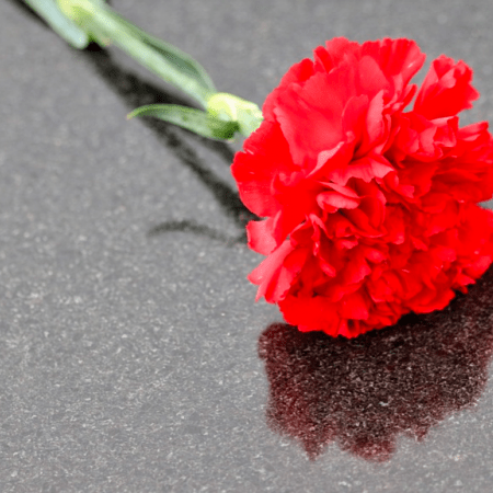 Πρωτομαγιά και γαρύφαλλο