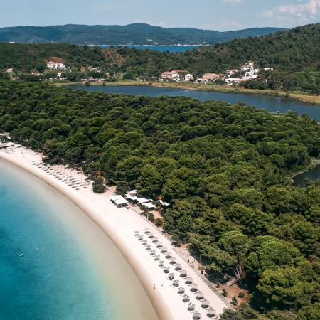 Σκιάθος κουκουναριές