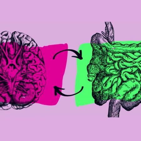 εγκέφαλος έντερο