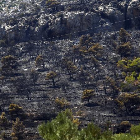 φωτιά Κορωπί