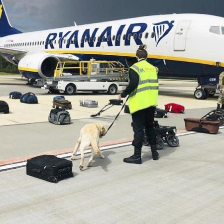 λουκασενκο ryan