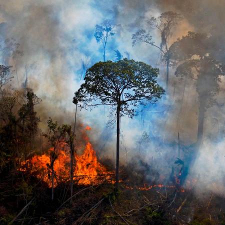 Καταστροφή περιβάλλοντος