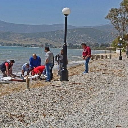 ΕΚΑΒ στην παραλία