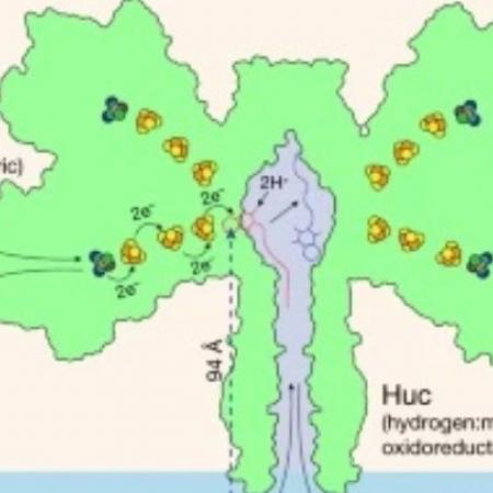 φυσική μπαταρια