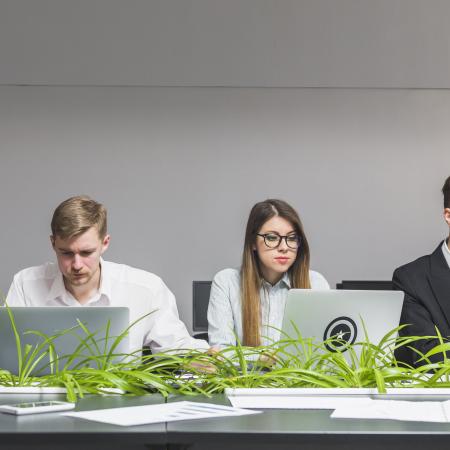 εργασία ταλέντα