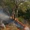Πυρκαγιά Ταύρος 