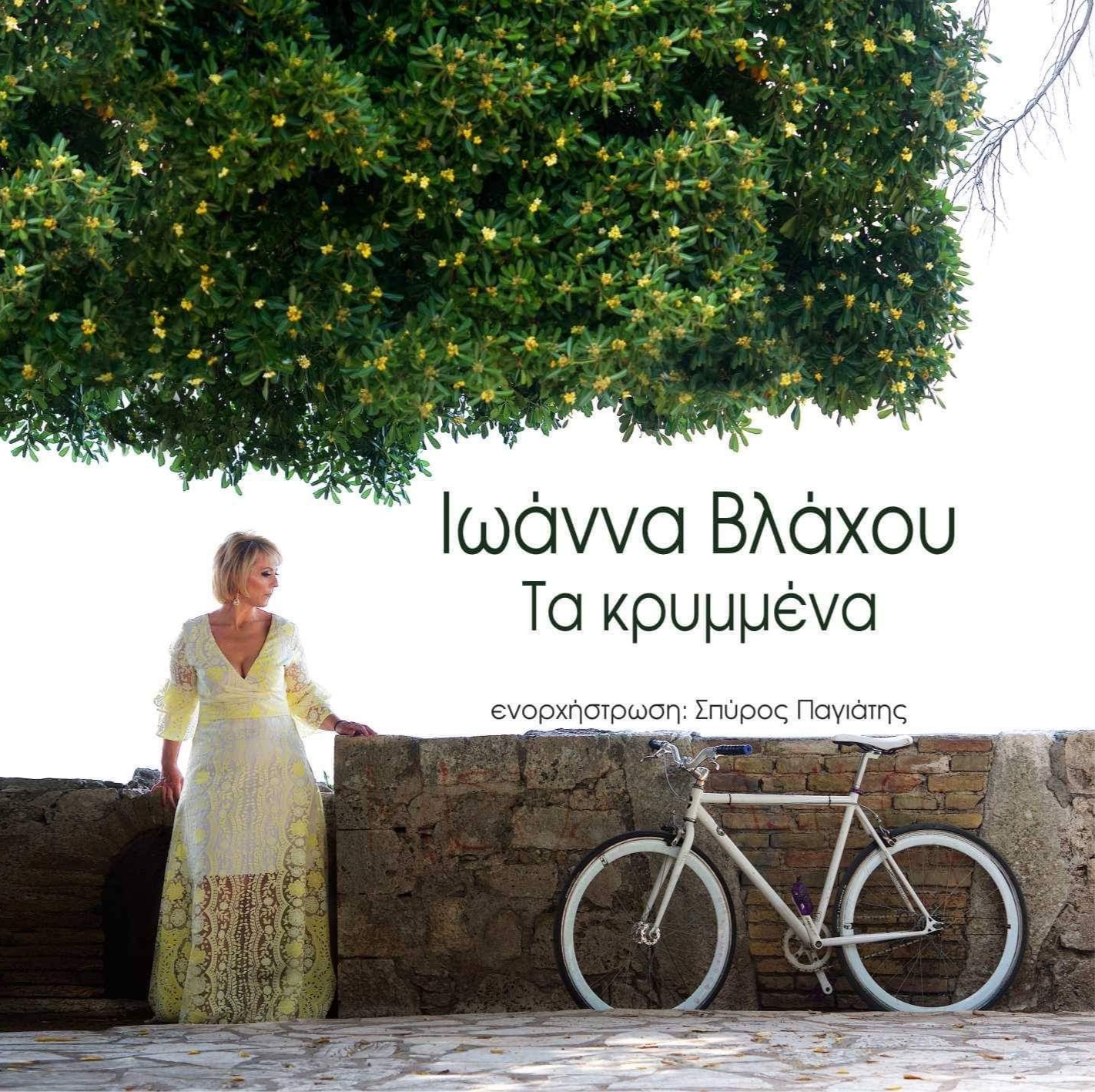 to exwfyllo tou tragoudiou tis ioannas vlaxou