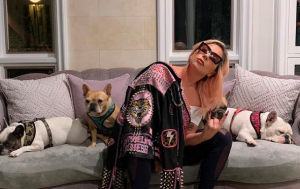 Η Lady Gaga μαζί με τα τρία γαλλικά μπουλντόγκ της