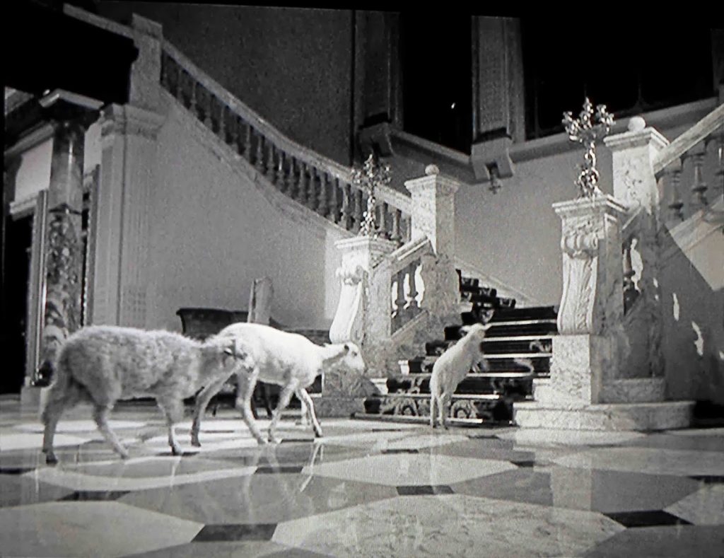 The Exterminating Angel bunuel